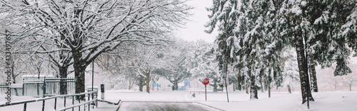 Canvas Print Winter landscape