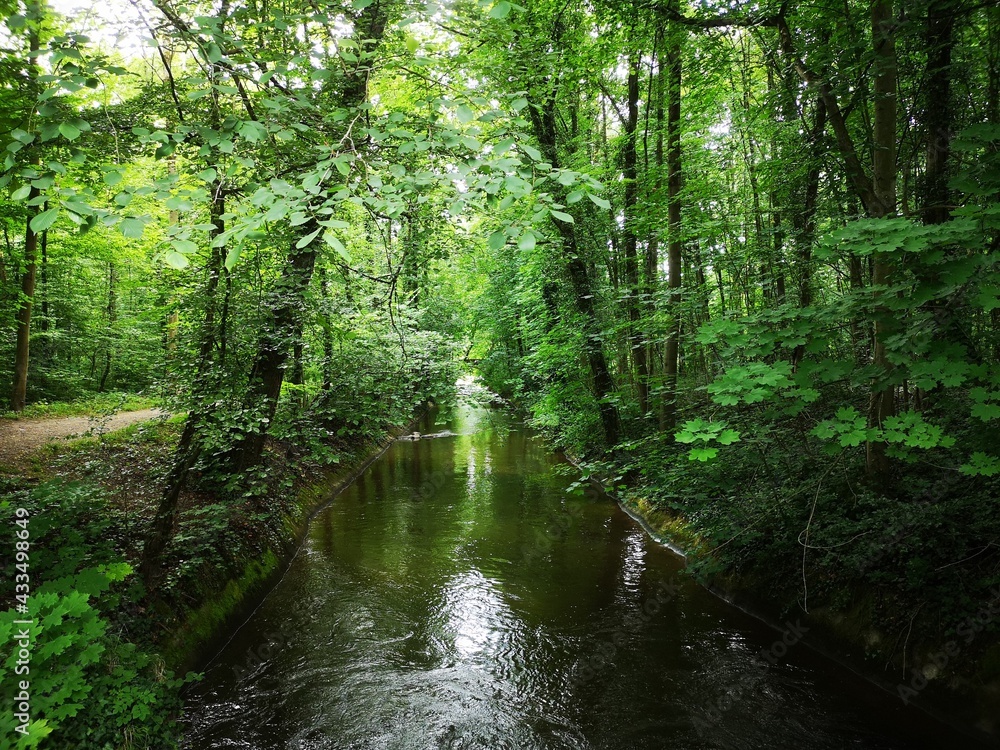 Basel stream Basel stream