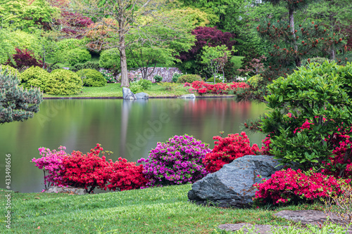 Fototapeta Naklejka Na Ścianę i Meble -  Japanese garden, in Missouri Botanical Garden, St. Louis, Missouri, USA. Reflection of trees and plants in lake. Red and pink flowers line the shore. Rocks and green grass in foreground. 
