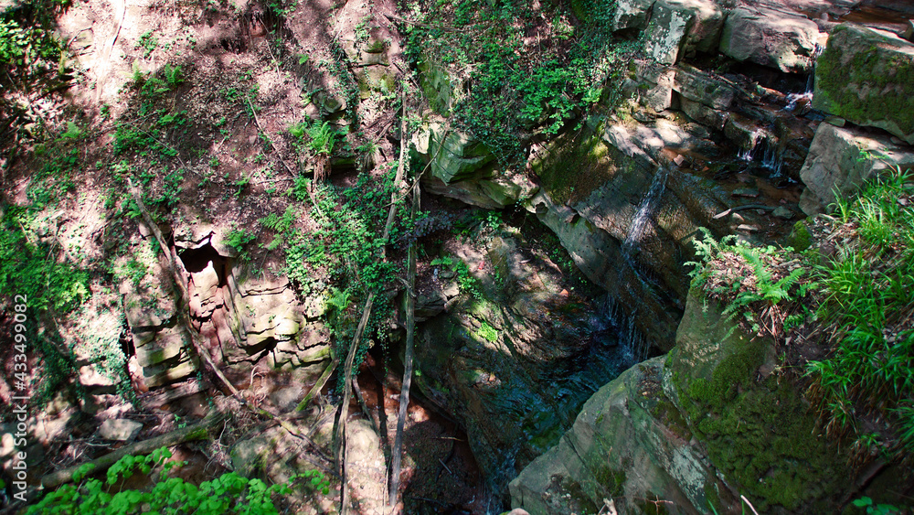Fototapeta premium Margarethenschlucht bei Neckargerach