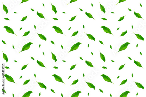 seamless pattern with large green leaves on a white background