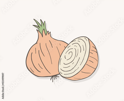 Design of onion draw