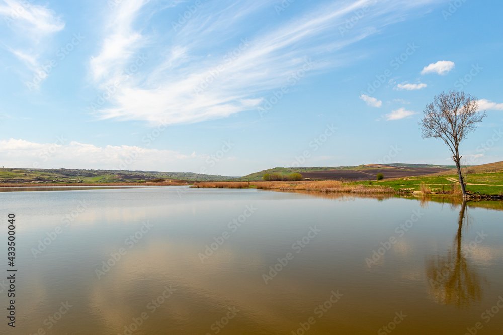 Photography of a lake with reed and bullrush in country side. Photo taken at noon time. View of a pond with natural vegetation. Landscape photography of a pond with reed and blue sky