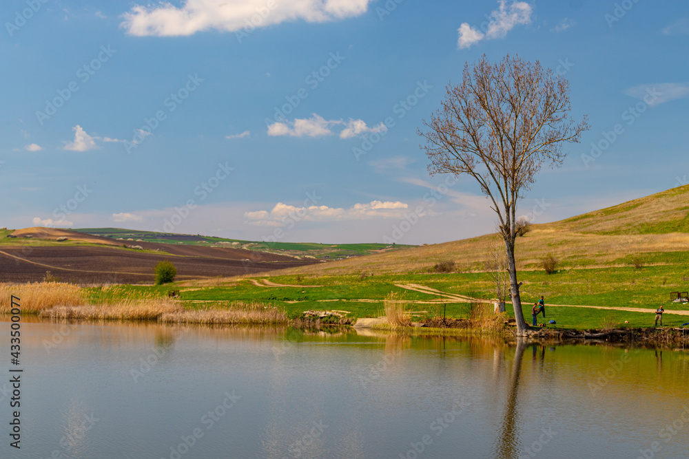 Fototapeta premium Photography of a lake with reed and bullrush in country side. Photo taken at noon time. View of a pond with natural vegetation. Landscape photography of a pond with reed and blue sky