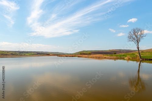 Photography of a lake with reed and bullrush in country side. Photo taken at noon time. View of a pond with natural vegetation. Landscape photography of a pond with reed and blue sky © Ioan