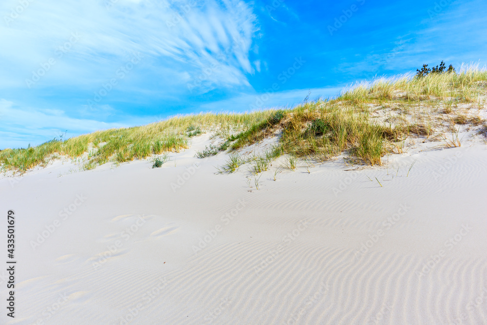 Sand dunes on beautiful beach in Dzwirzyno village near Kolobrzeg town and sunny blue sky, Baltic Sea coast, Poland Sand dunes on beautiful beach in Dzwirzyno village near Kolobrzeg town and sunny blue sky, Baltic Sea coast, Poland
