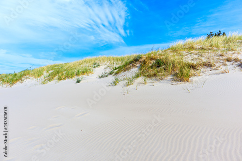 Fototapeta Naklejka Na Ścianę i Meble -  Sand dunes on beautiful beach in Dzwirzyno village near Kolobrzeg town and sunny blue sky, Baltic Sea coast, Poland