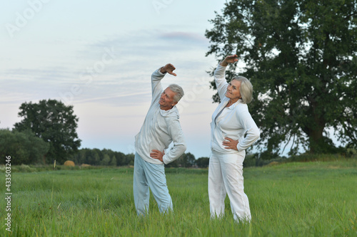 fit senior couple exercising  in park © aletia2011