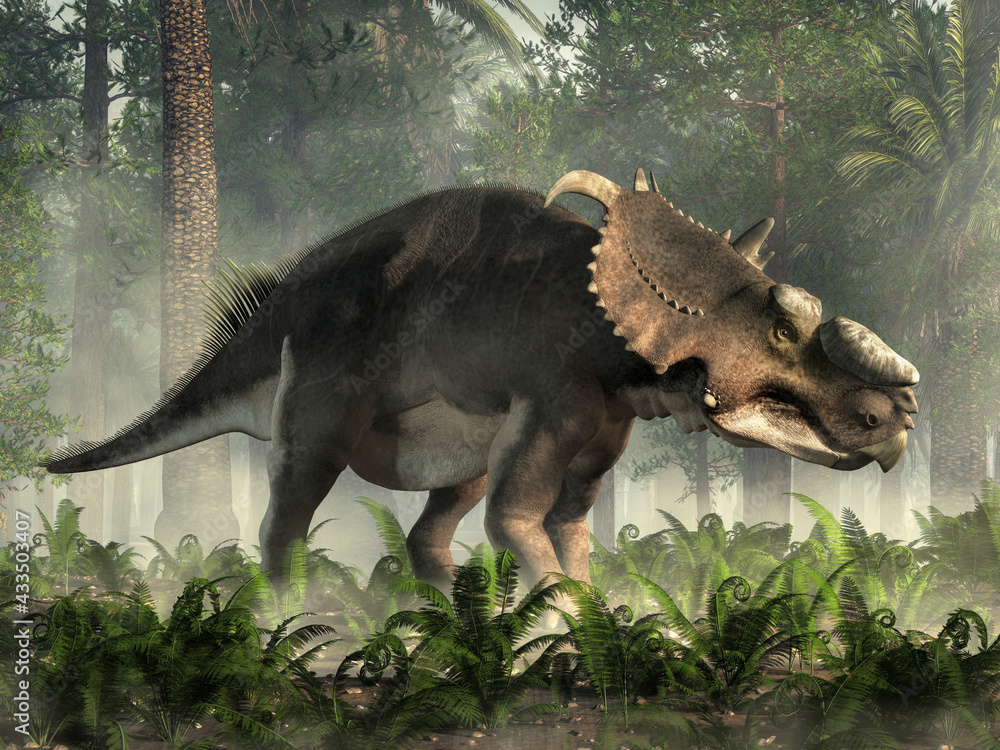 Pachyrhinosaurus was a ceratopsid dinosaur that lived in North America