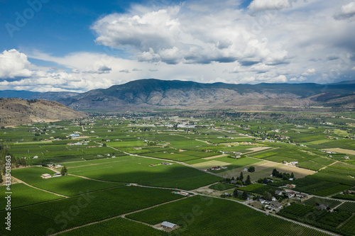 Aerial view of vineyard in the Okanagan Valley, British Columbia, Canada © RLS Photo
