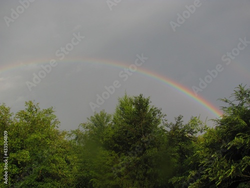 Fototapeta Naklejka Na Ścianę i Meble -  rainbow in the sky