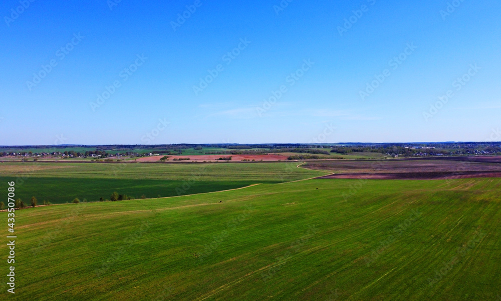 Fototapeta premium Aerial view of the summer landscape with green fields and meadows