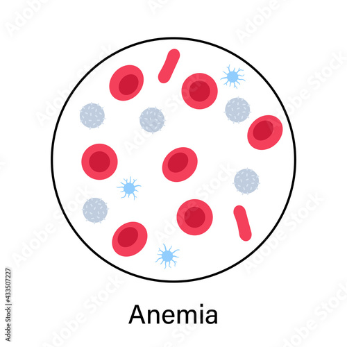 Blood structure concept