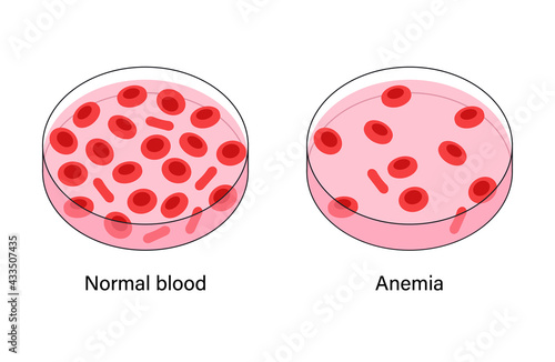 Blood structure concept