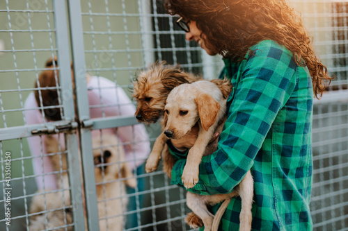 Photography Young woman adopting beautiful dogs at animal shelter..