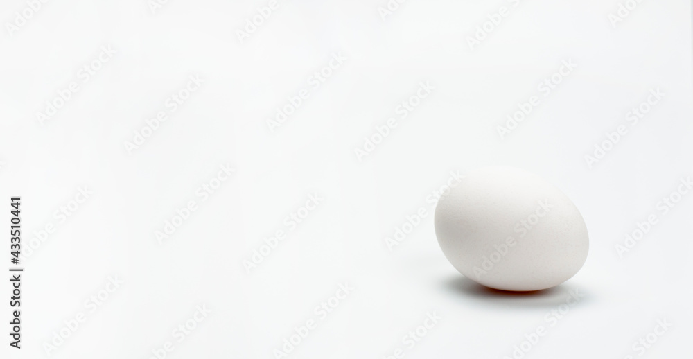 Chicken white egg. On white background. Shell Chicken white egg. On white background. Shell