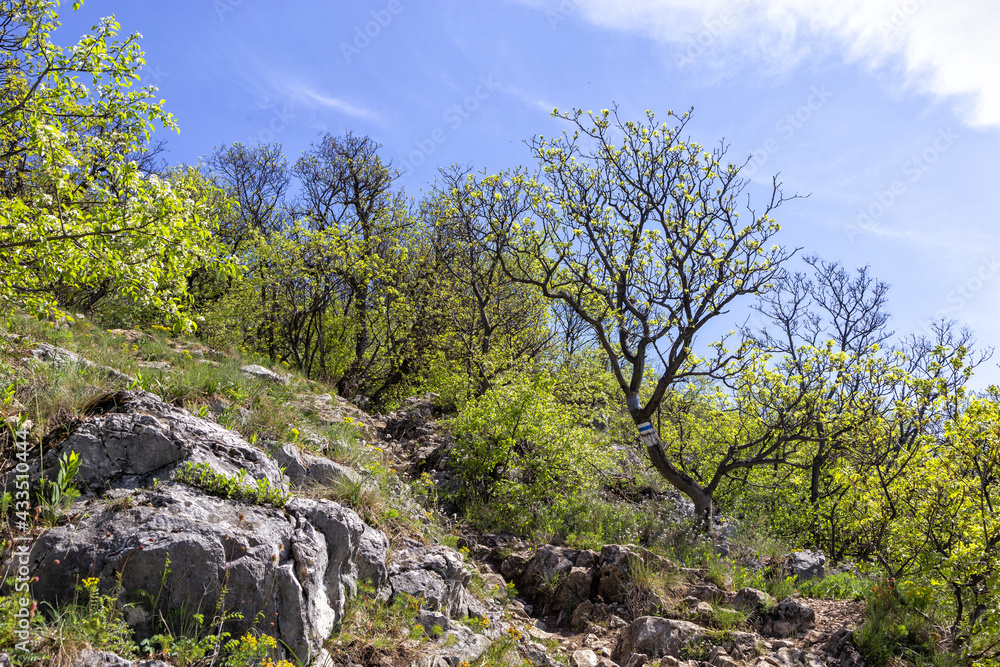 Wanderweg auf einem Berg unter blauem Himmel Wanderweg auf einem Berg unter blauem Himmel
