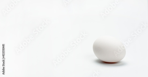 Chicken white egg. On white background. Shell