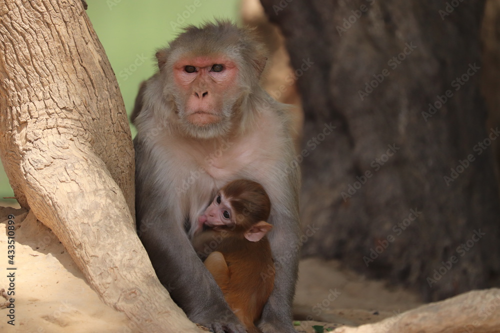 mother and baby