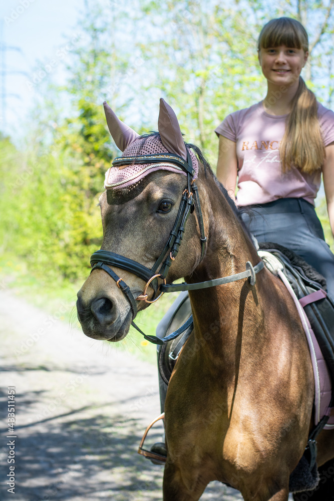 Obraz premium Reitpferd / Reitpony