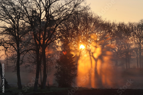 Mai-Morgen im Nebel ( Emsland ) / Foggy mai morning in Emsland/ Germany © Prieshof PixEL