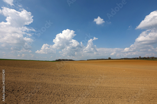 Landscape with arable land and meadows photo
