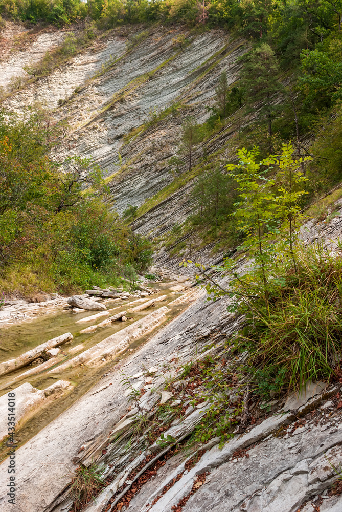 Autumn landscape. Jane riverbed . Krasnodar Territory. Gelendzhik