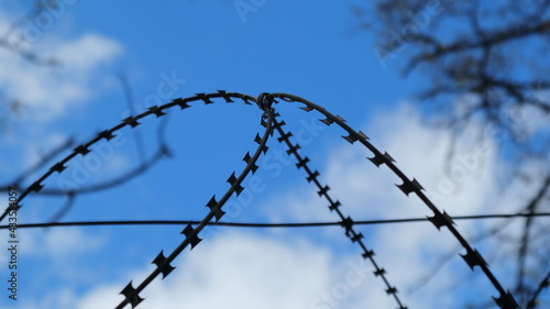 Barbed wire on a background of blue sky and tree branches.