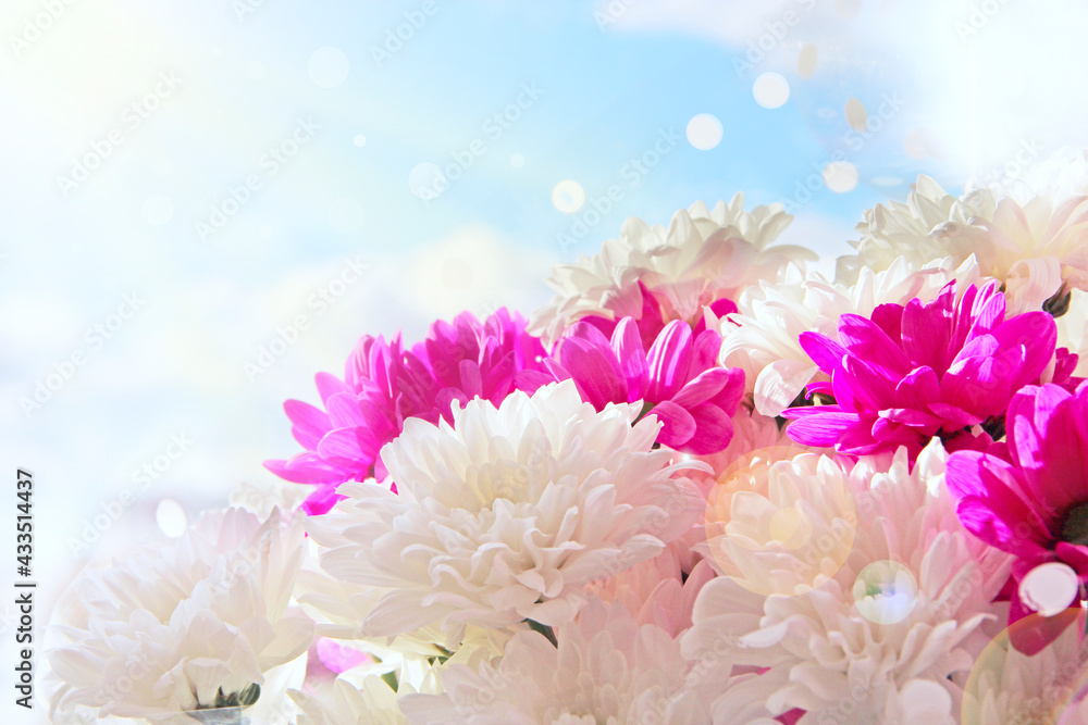 Fototapeta premium beautifully designed bouquet of white and red chrysanthemums on light background