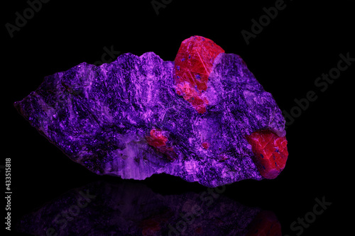 Cuadro en lienzo macro mineral stone ruby under ultraviolet light on a black background