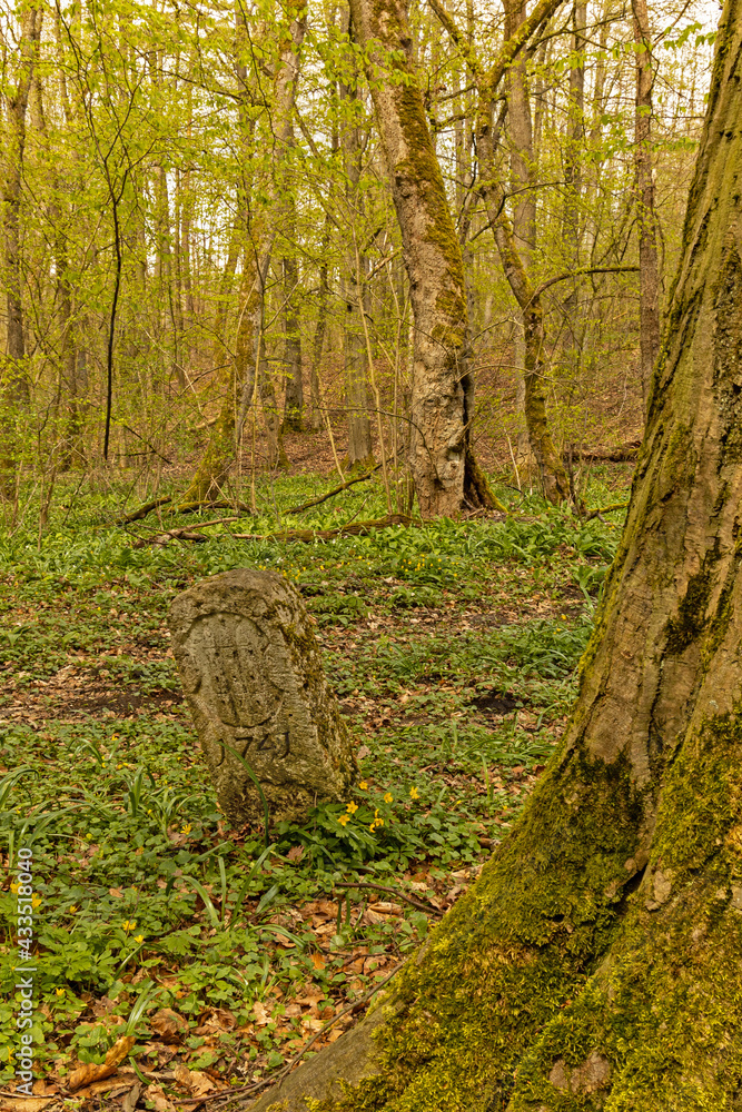 old stone signpost in the Hainich National Park in Thuringia