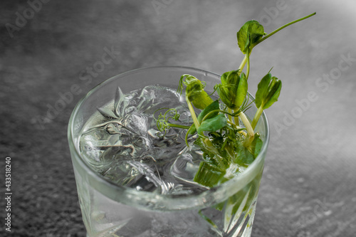 Glass with drink, ice on gray background. Cocktail decorated microgreen alcohol beverage.