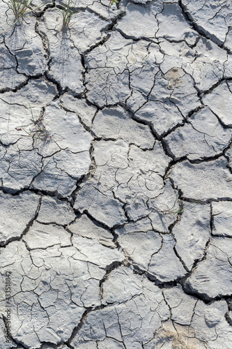 view of deep cracks in the ground due to hot dry summers. Ecological problems. Climate warming