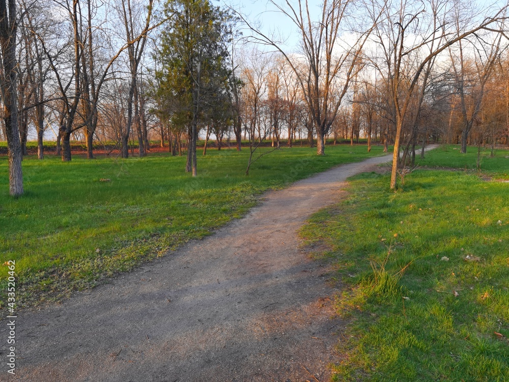 Trail in the park