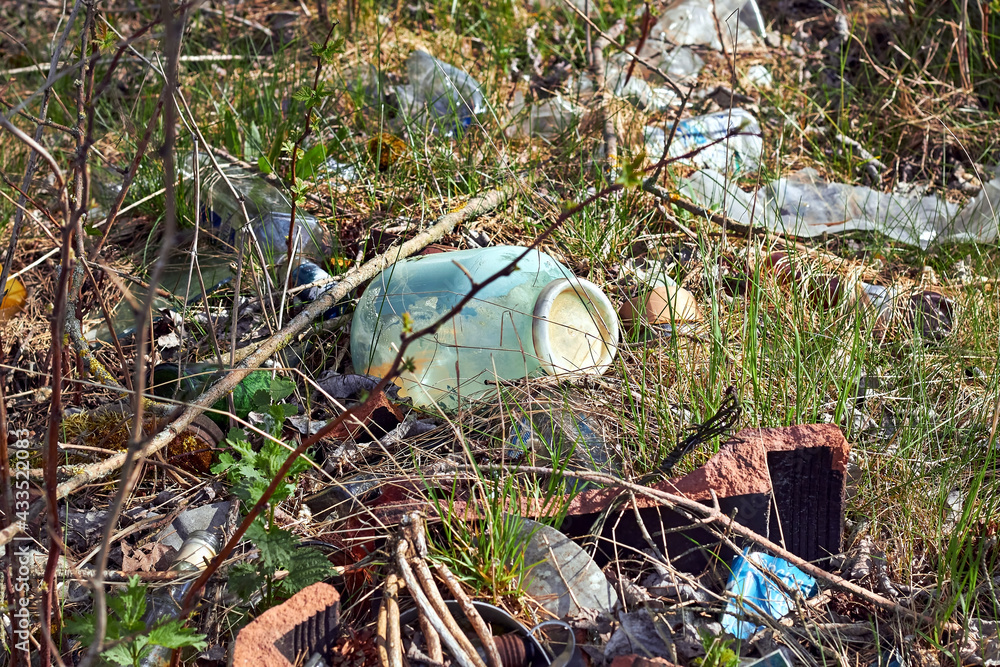 Garbage dump in the woods. The trash in the nature of people, household garbage in the woods