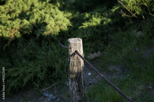 fence post on the grass