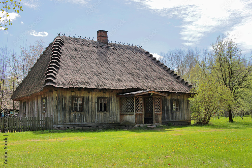 An old wooden country house in Podlasie. A historic wooden thatched house in the Bialystok Village Museum. Trees are blooming all around. Juicy green grass.