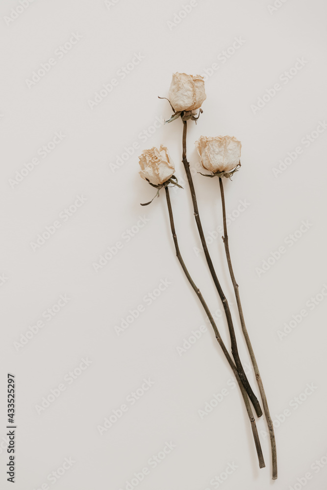 Natural dried flower on beige background. Minimal bohemian flat lay background with dried flower arrangement and copy space. Organic design. Pastel colors.