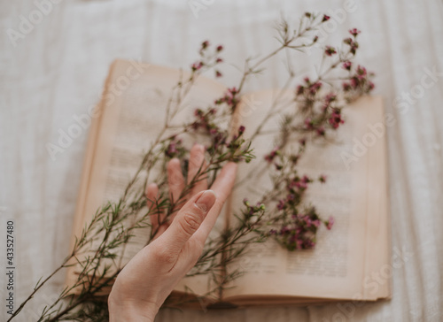 romantic literature: a woman's hand holds flowers over an open vintage book
