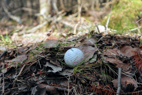 Close-up of a golf ball lies on the ground in the forest