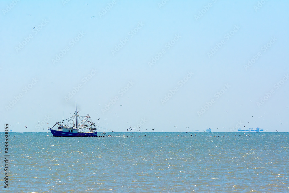 Fishing boat going out to sea with lots of pelicans following behind and distant skyline. No people. Room for copy.