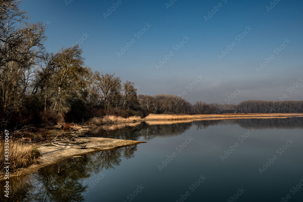 Landscape At National Park River Danube Wetlands In Austria