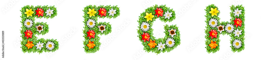 Fototapeta premium Letters E, F, G, H made of multi-colored flowers