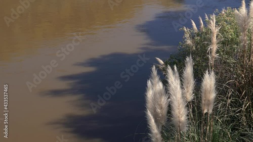 Rio caudaloso