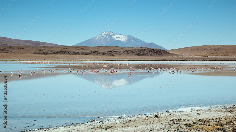 Fototapeta premium Salar de Uyuni Tour in Bolivia’s Altiplano