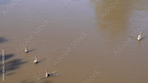 Rio caudaloso