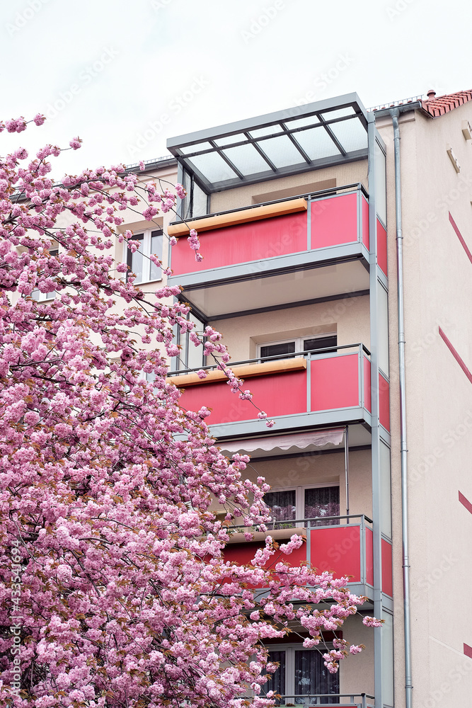 Cherry blossoms in front of modern house with balconies, euronean appartment block of flats in Berlin, Germany. Modern architecture, sacura trees in urban landscape and town development.