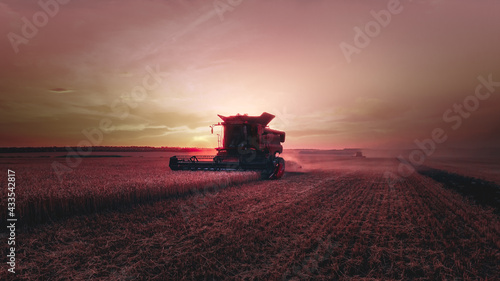 Mechanized harvesting of grain in an agricultural field. Bright  evening  summer landscape with a combine harvester at sunset. Idyllic rural background  wallpaper. Selective  soft focus. Tinted photo.