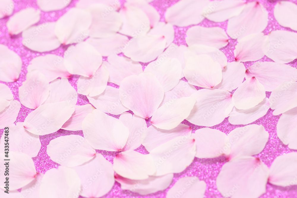 Fototapeta premium 桜の花びら 背景