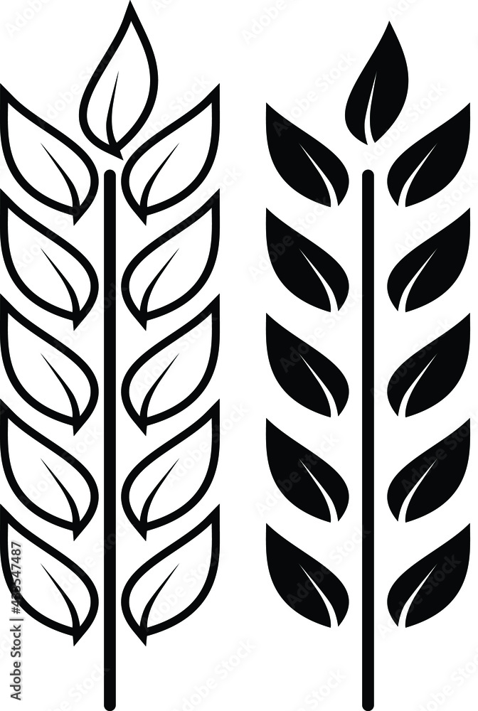 Wheat vector black and white